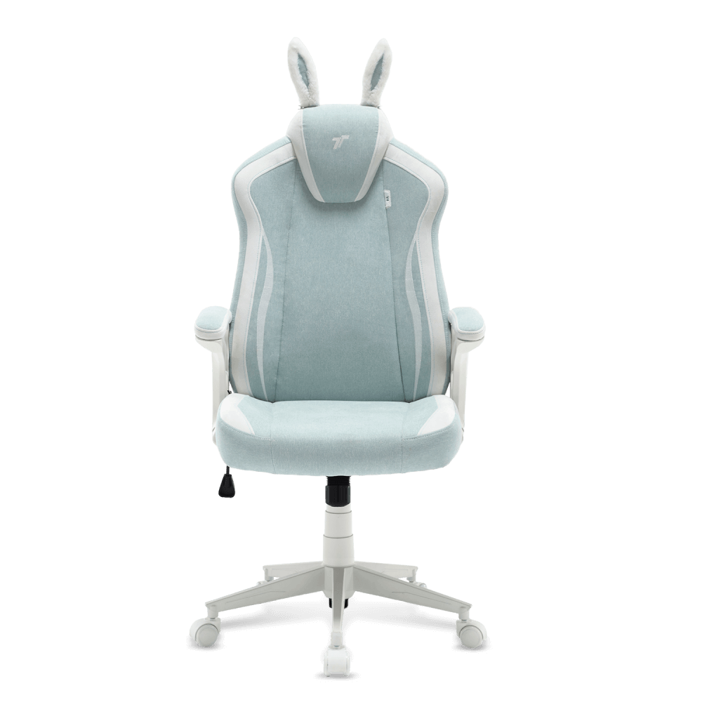 เก้าอี้เกมมิ่ง TTRacing Duo V4 ผ้า BunnyBliss Edition